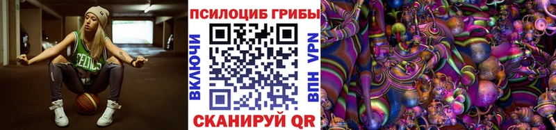 Галлюциногенные грибы Psilocybine cubensis Кстово